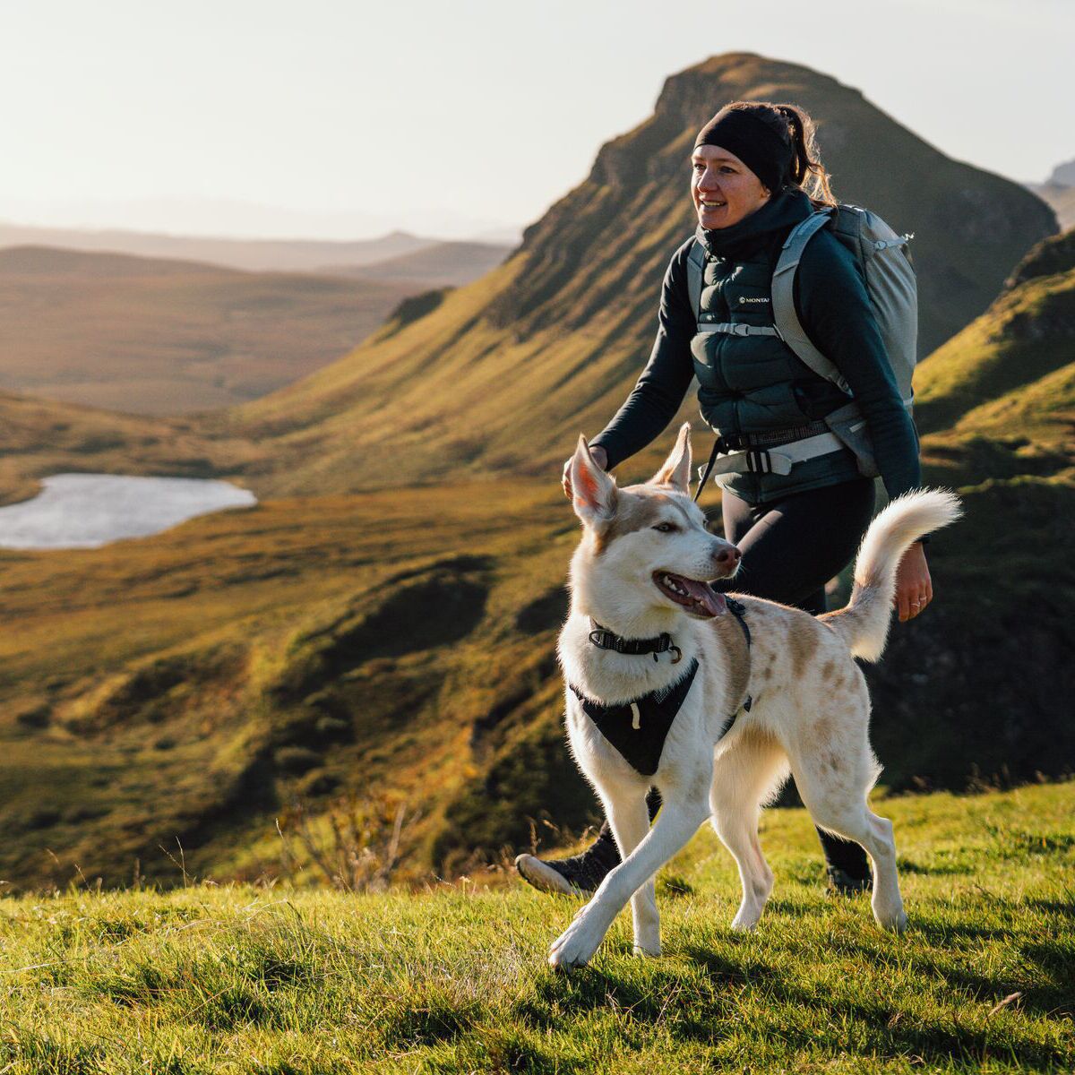 Ruffwear Ridgeline Harness Obsidian Black
