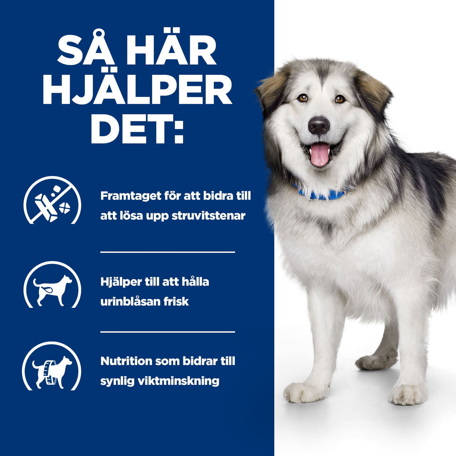 Hill's PRESCRIPTION DIET c/d Multicare + Metabolic Dog Food