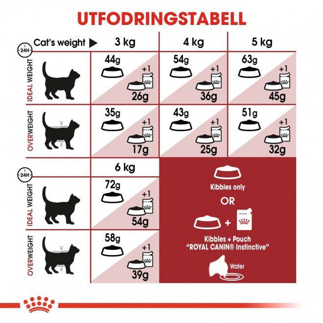 Royal Canin Fit Adult torrfoder för katt