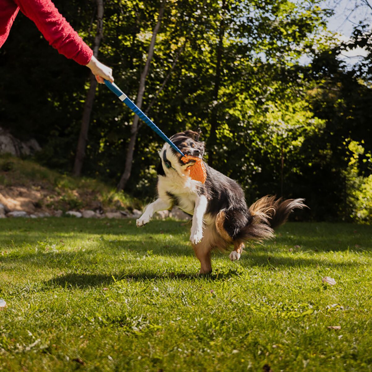 Loype Tug Toy Mopster