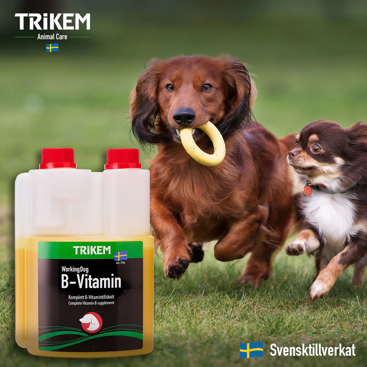 TRIKEM WorkingDog B-Vitamin