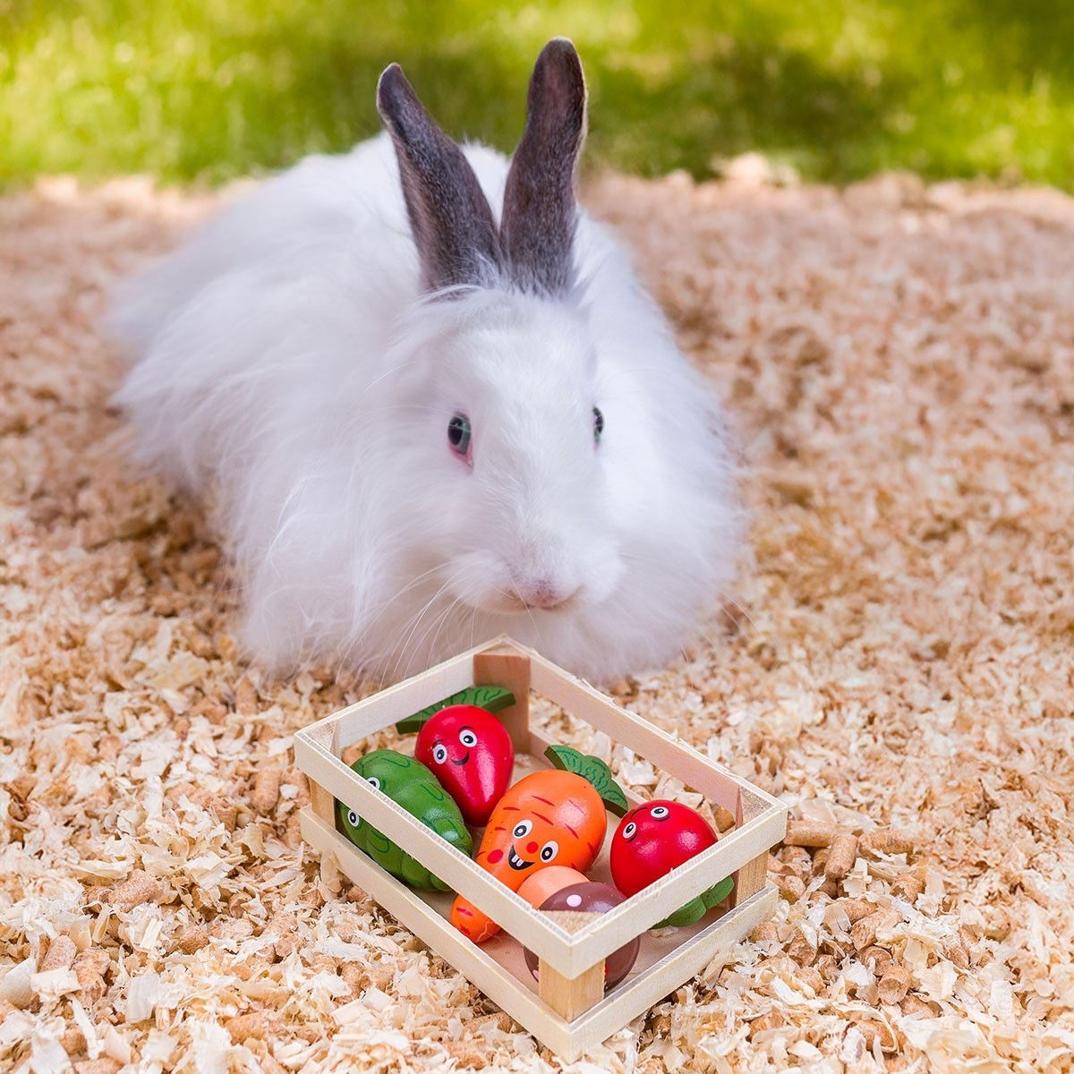 Quapas! Gnagarleksak Grönsakslåda i Trä | Övriga djur - Kanin - Kaninleksaker | DogStyle