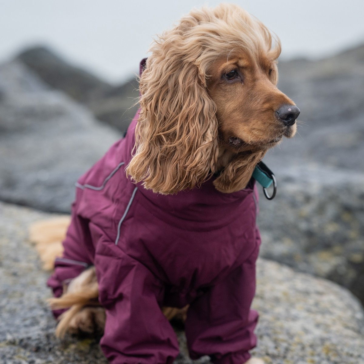 Rukka Thermal overall wine