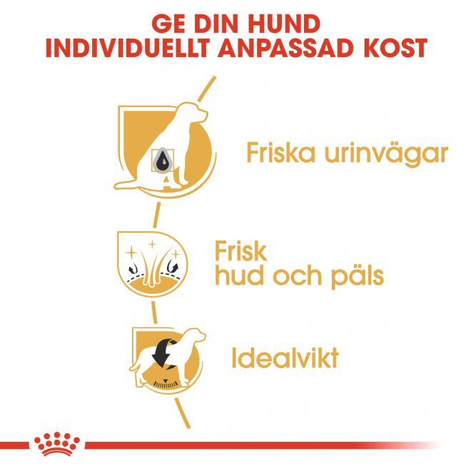 Royal Canin Bichon Frisé Adult torrfoder för hund