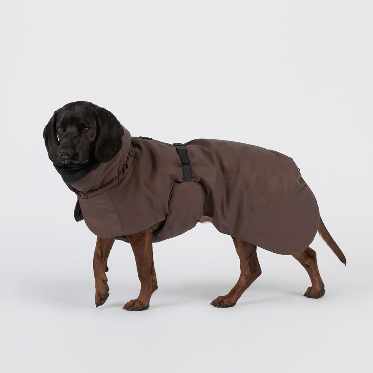PAIKKA Visibility Reflekterande Vintertäcke till Hund Brun