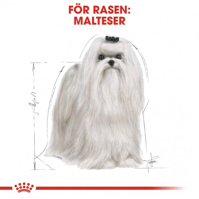 Royal Canin Breed Maltese Adult