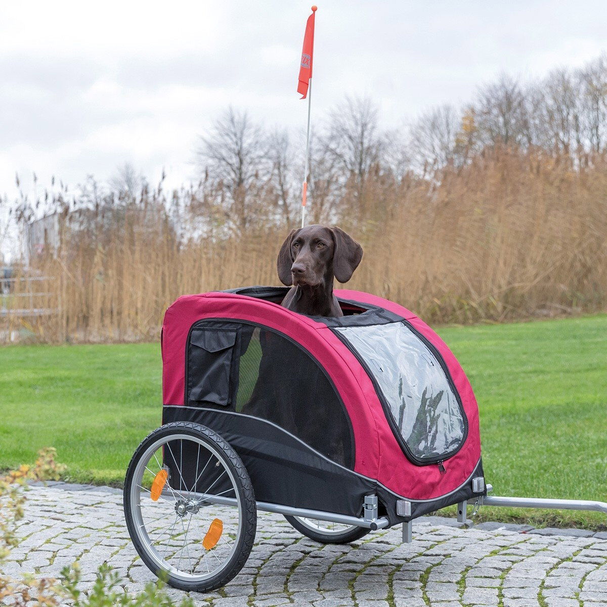 Trixie Cykelvagn svart/röd