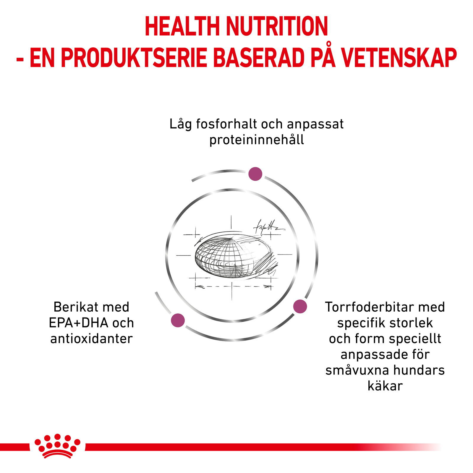 Royal Canin Veterinary Diets Vital Renal Small Dog torrfoder för hund