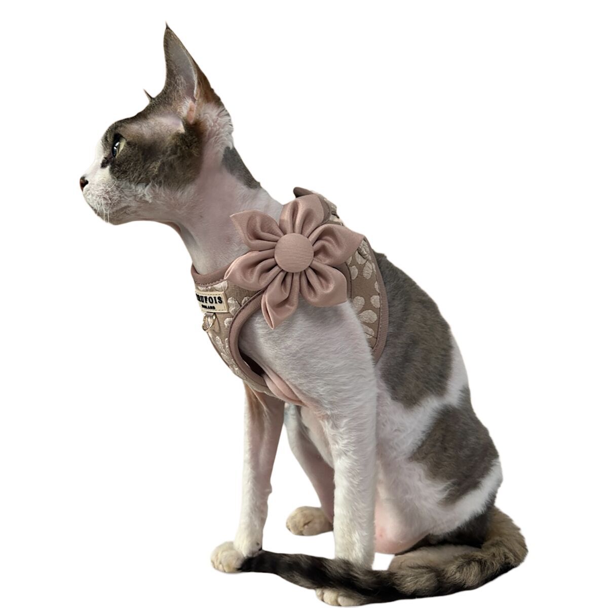 Trufois Flower Beige