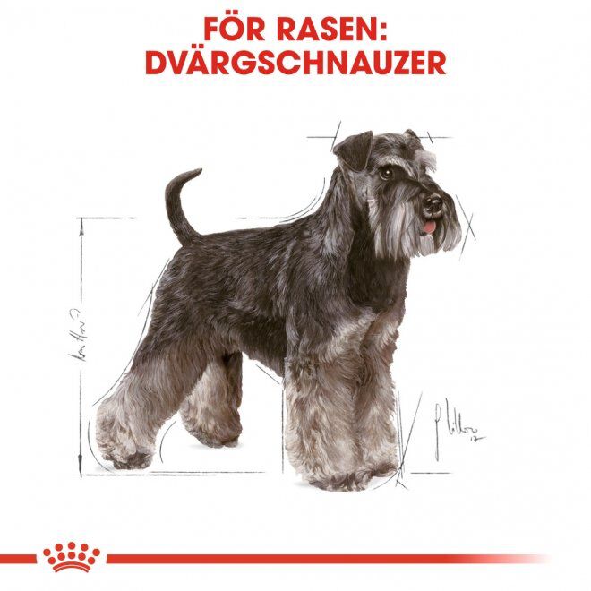 Royal Canin Miniature Schnauzer Adult torrfoder för hund