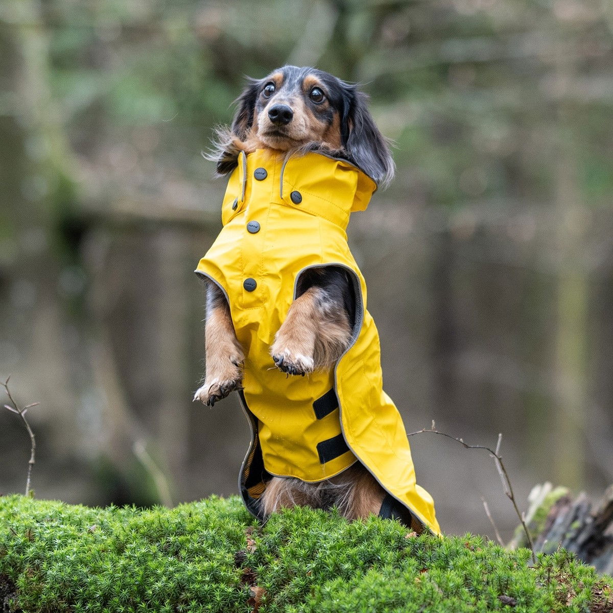 Rukka Stream Regntäcke Gul