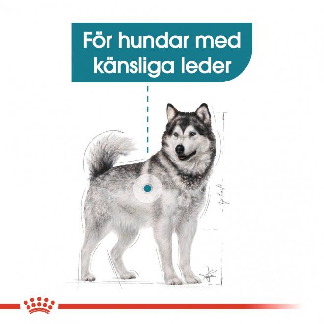 Royal Canin Maxi Joint Care