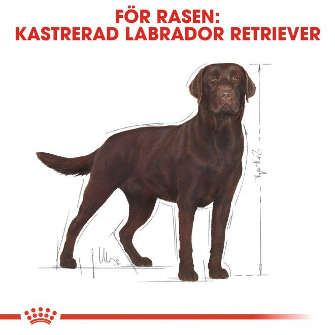Royal Canin Labrador Sterilised