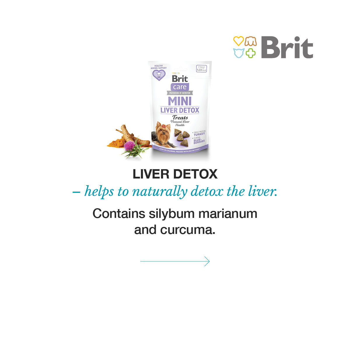 Brit Care Dog Mini treats LIVER DETOX 50 g