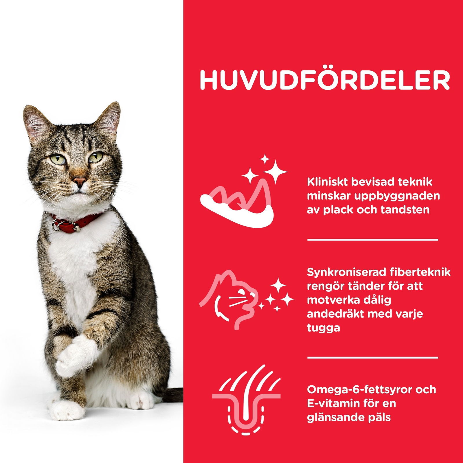 Hills Science Plan Feline Adult Oral Care