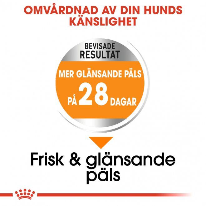 Royal Canin Coat Care Mini Adult torrfoder för hund