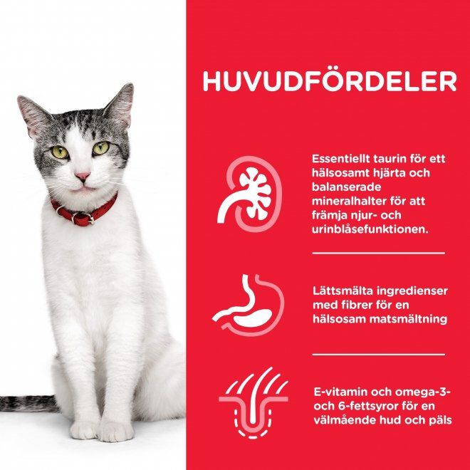 Hill's Science Plan Cat Senior 11+ Chicken