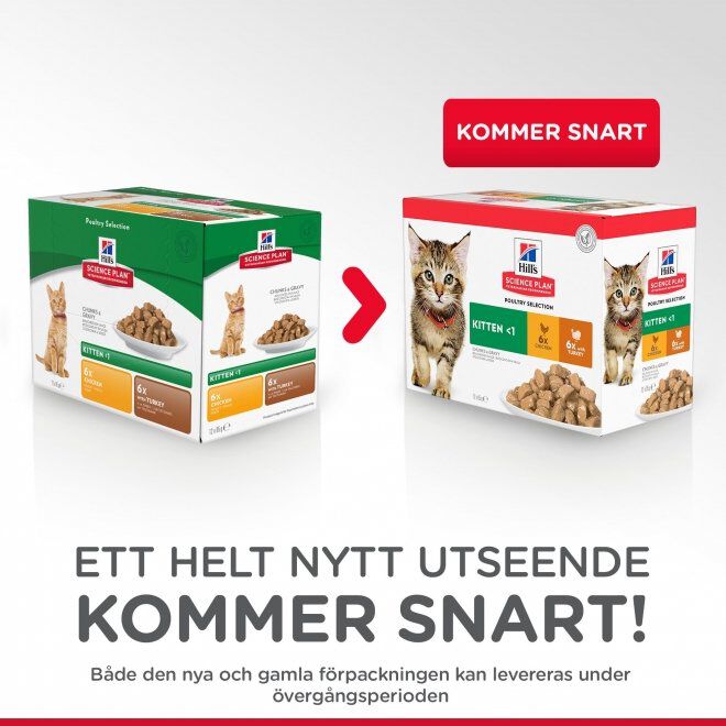 Hill's Science Plan Kitten Chicken & Turkey 12x85 g
