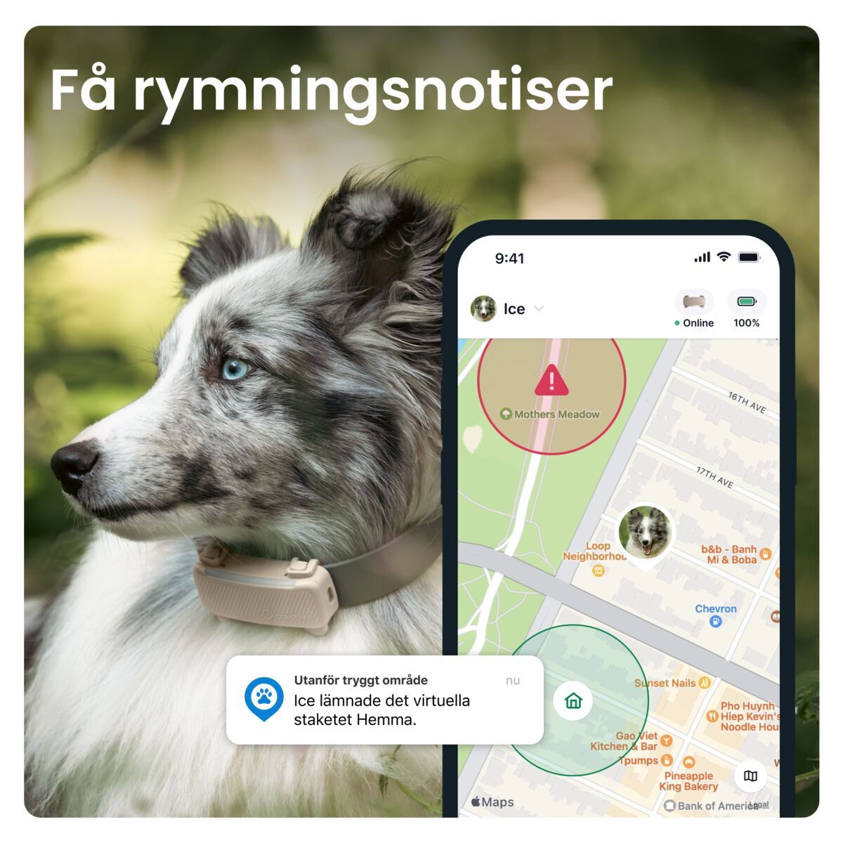 Tractive for DOG 6 tracker