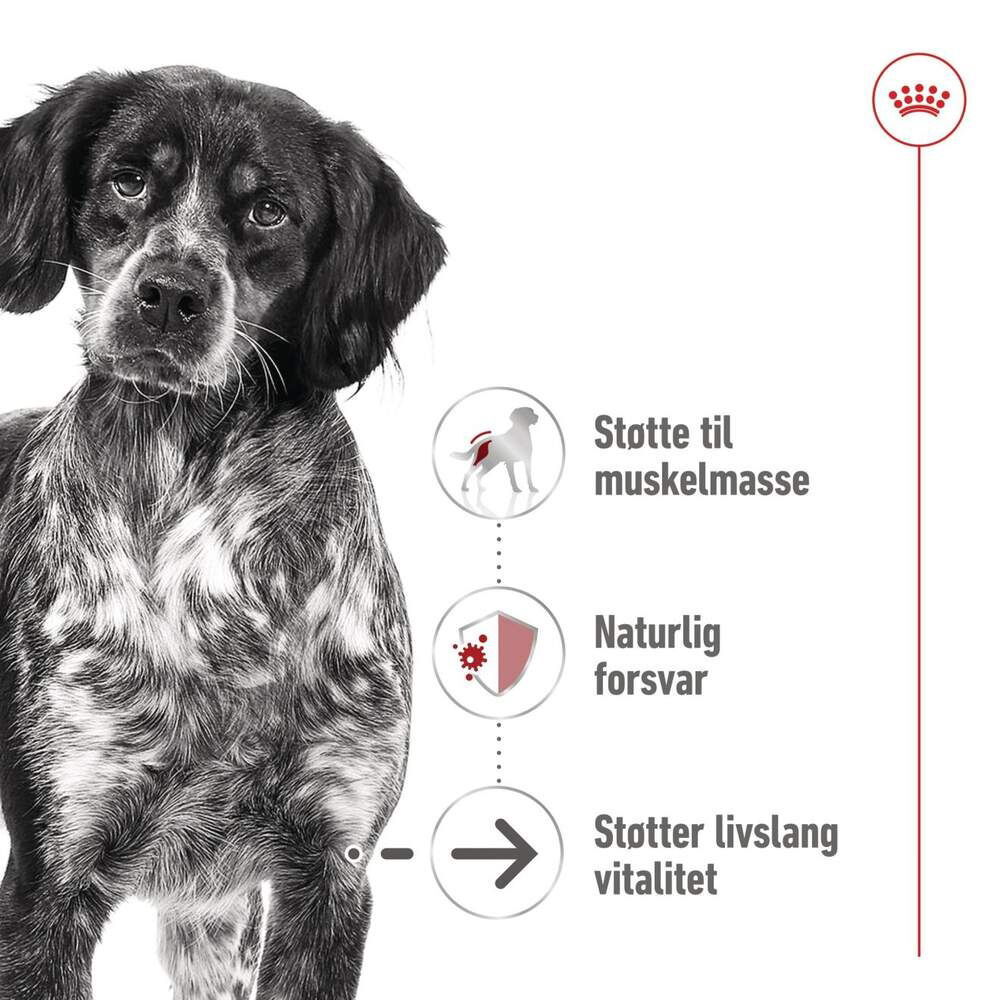 Royal Canin Medium Ageing Gravy våtfoder för hund