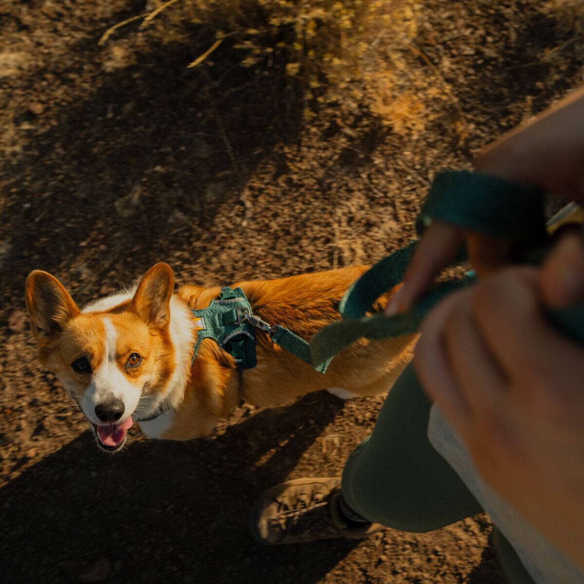 Ruffwear Front Range Flex Leash