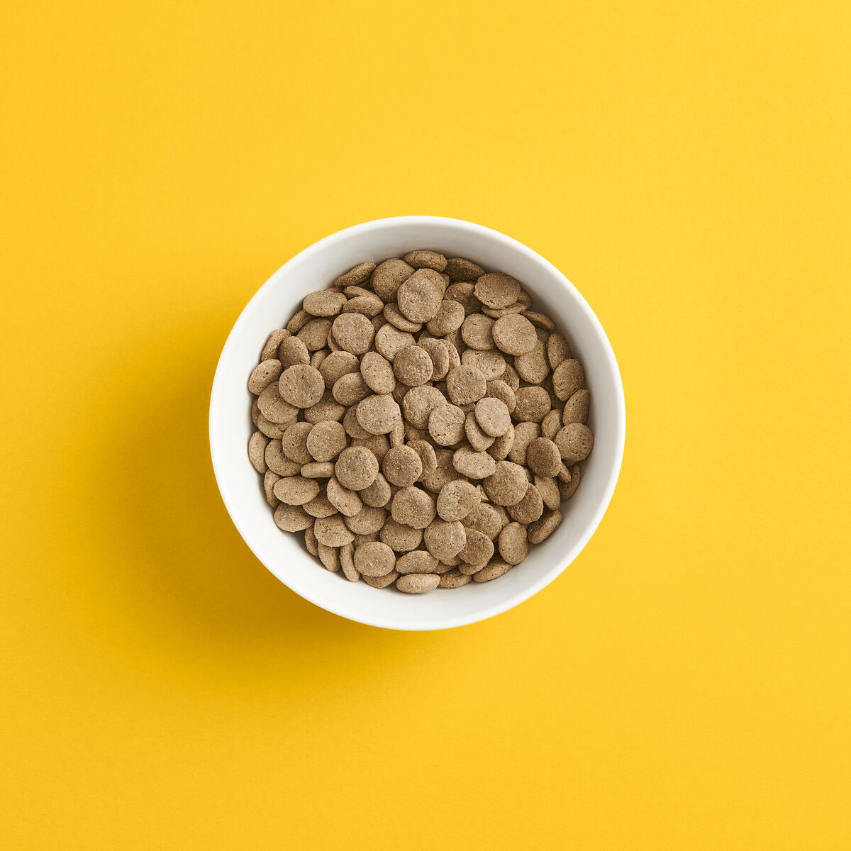 Smaak Dog Adult Grain Free Fish