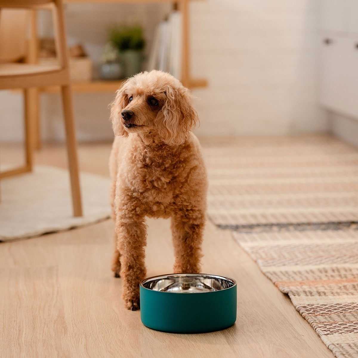 Basic DoubleWall metal bowl teal green