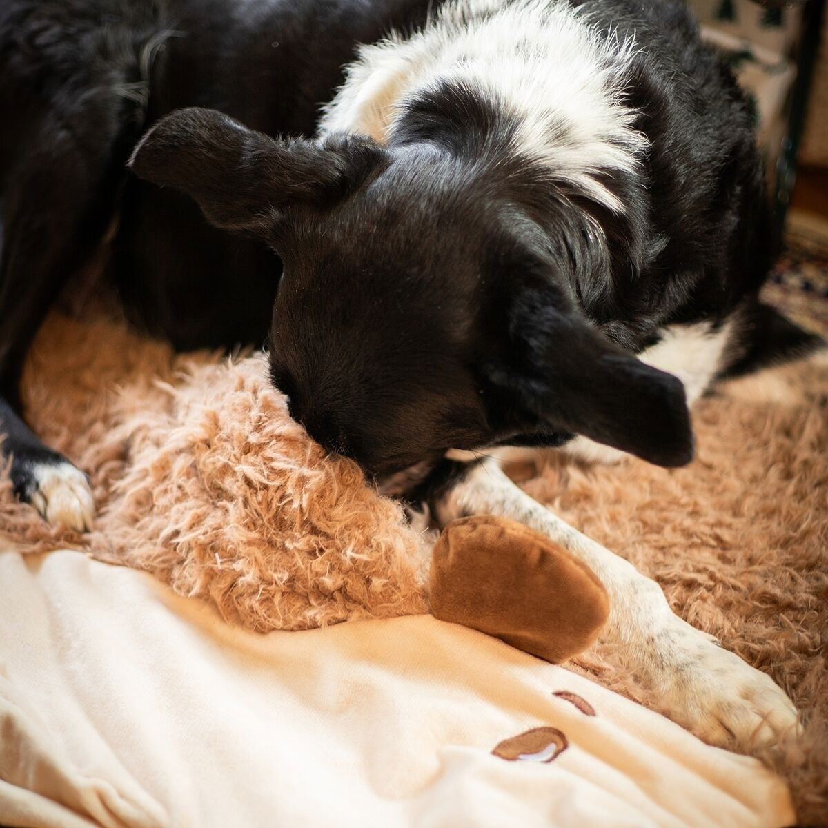 RW Hedgehog Snuffle Burrow Blanket