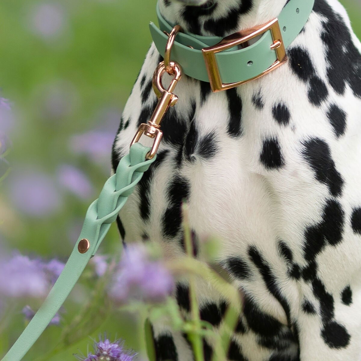 Tyylivoitto Classy collar, sage/rosegold