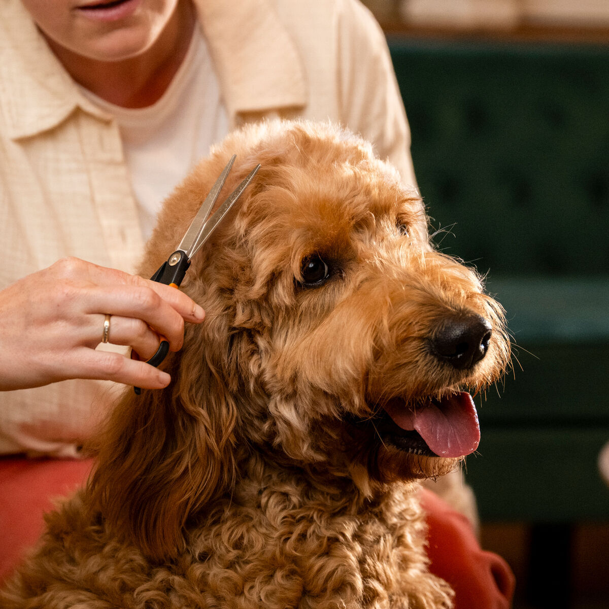 Fiskars trimming scissors