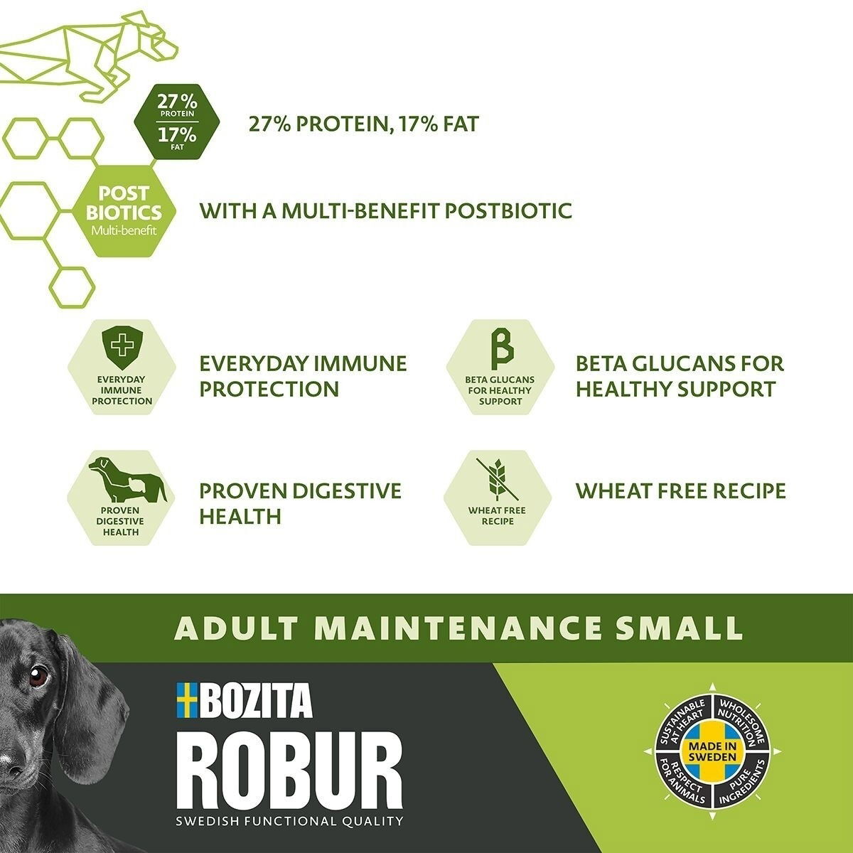 Robur Adult Maintenance Mini