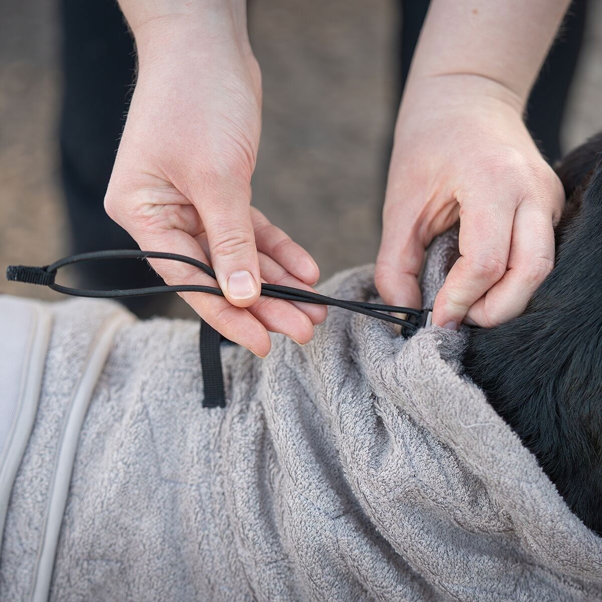 Non-stop dogwear Drying coat sand