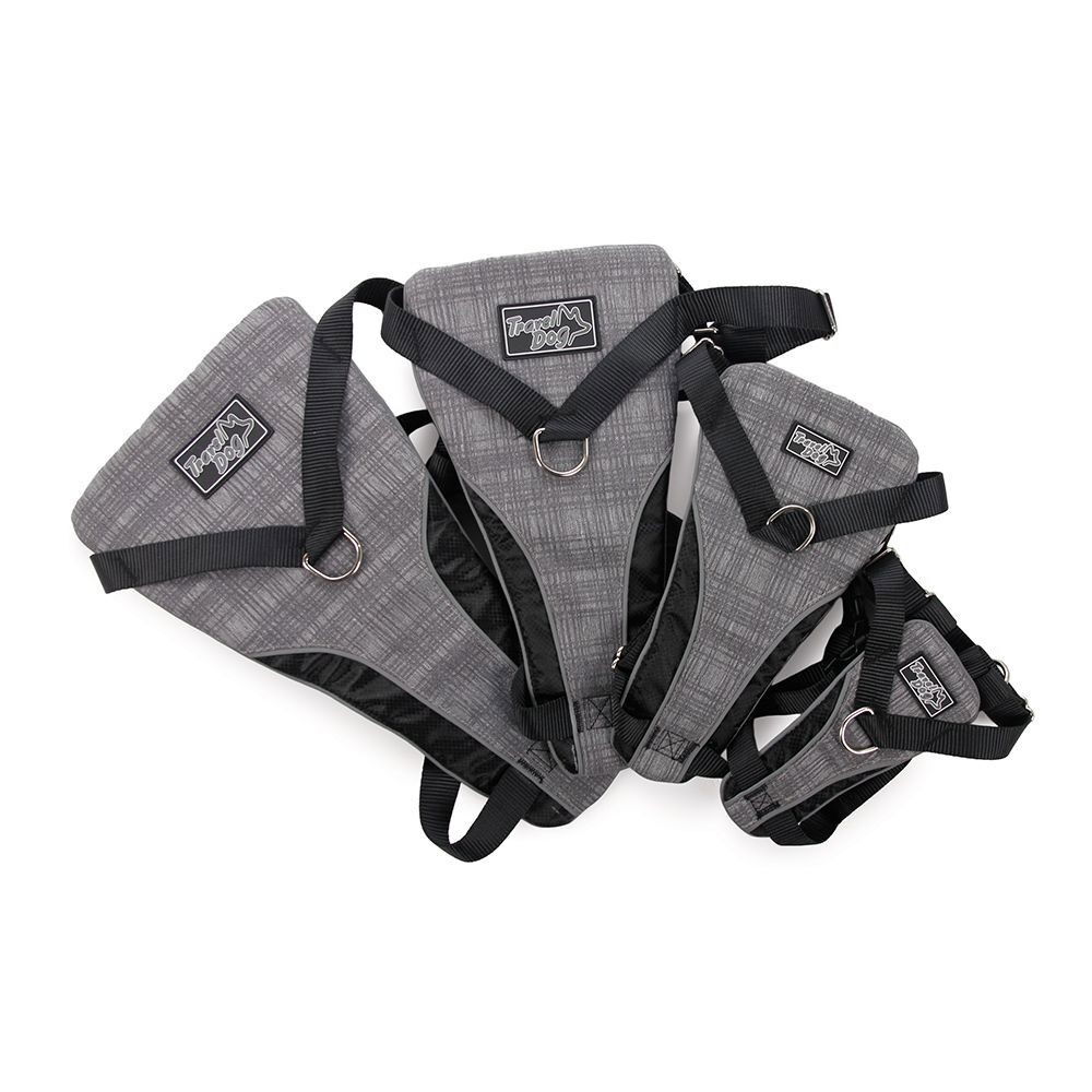 All For Paws Dog Bilsele