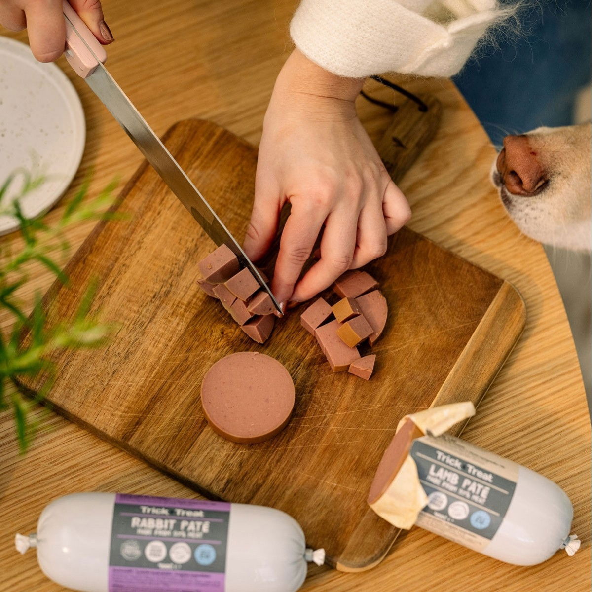 Trick&Treat Paté Sausage Venison