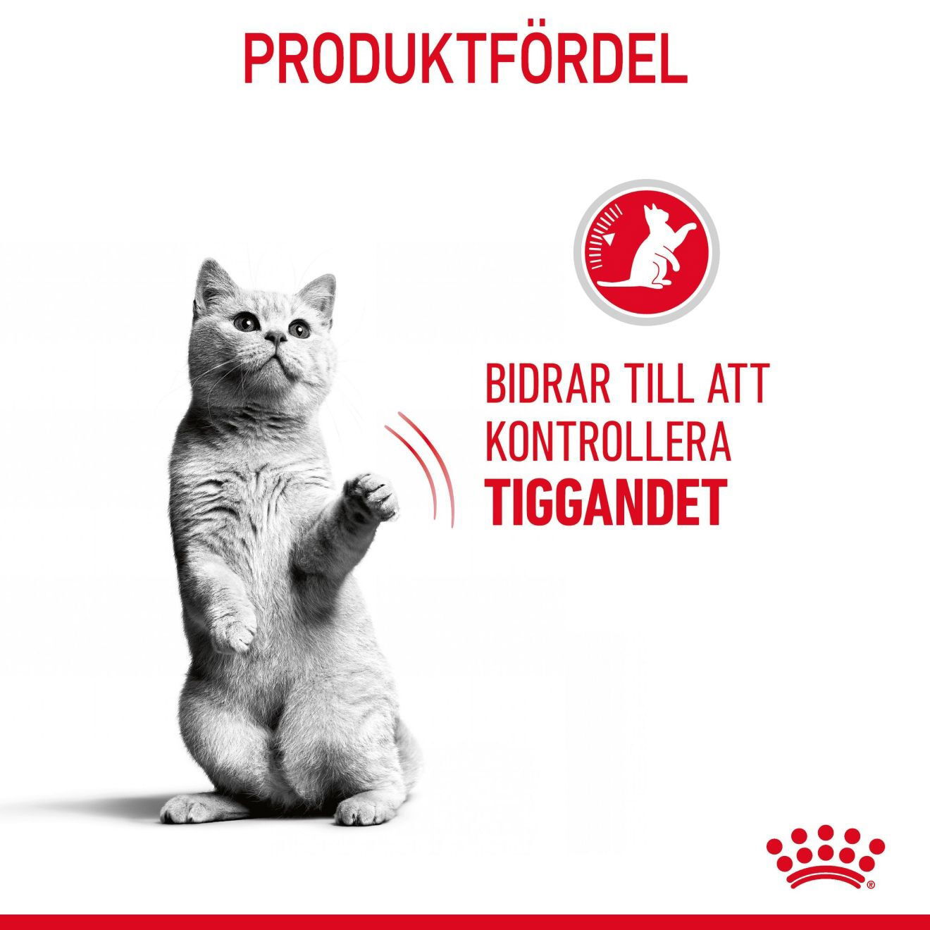 Royal Canin Appetite Control Care Adult torrfoder för katt