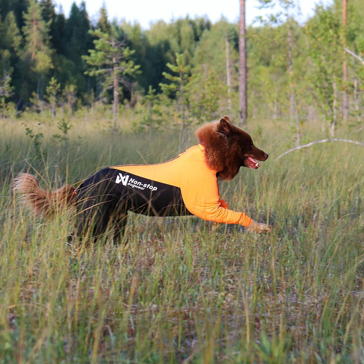 Non-stop dogwear Protector suit M orange/black