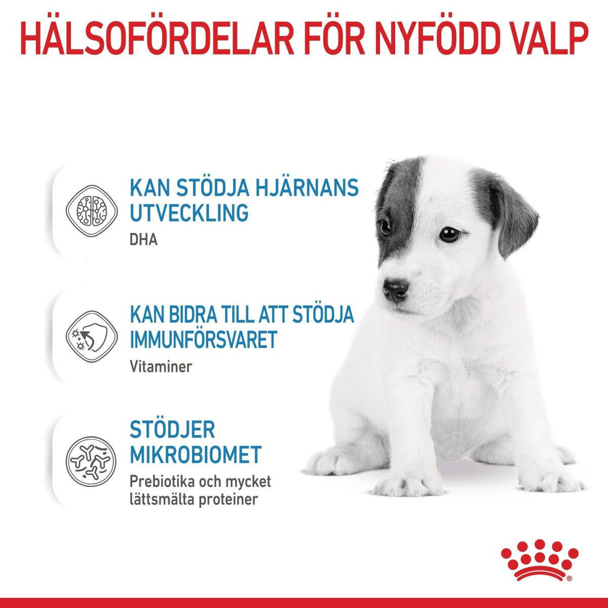Royal Canin Babydog Milk mjölk för hundvalp