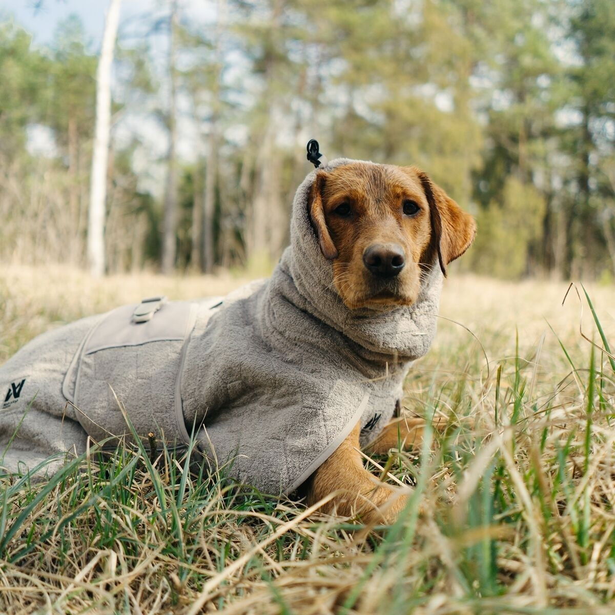 Non-stop dogwear Drying coat sand