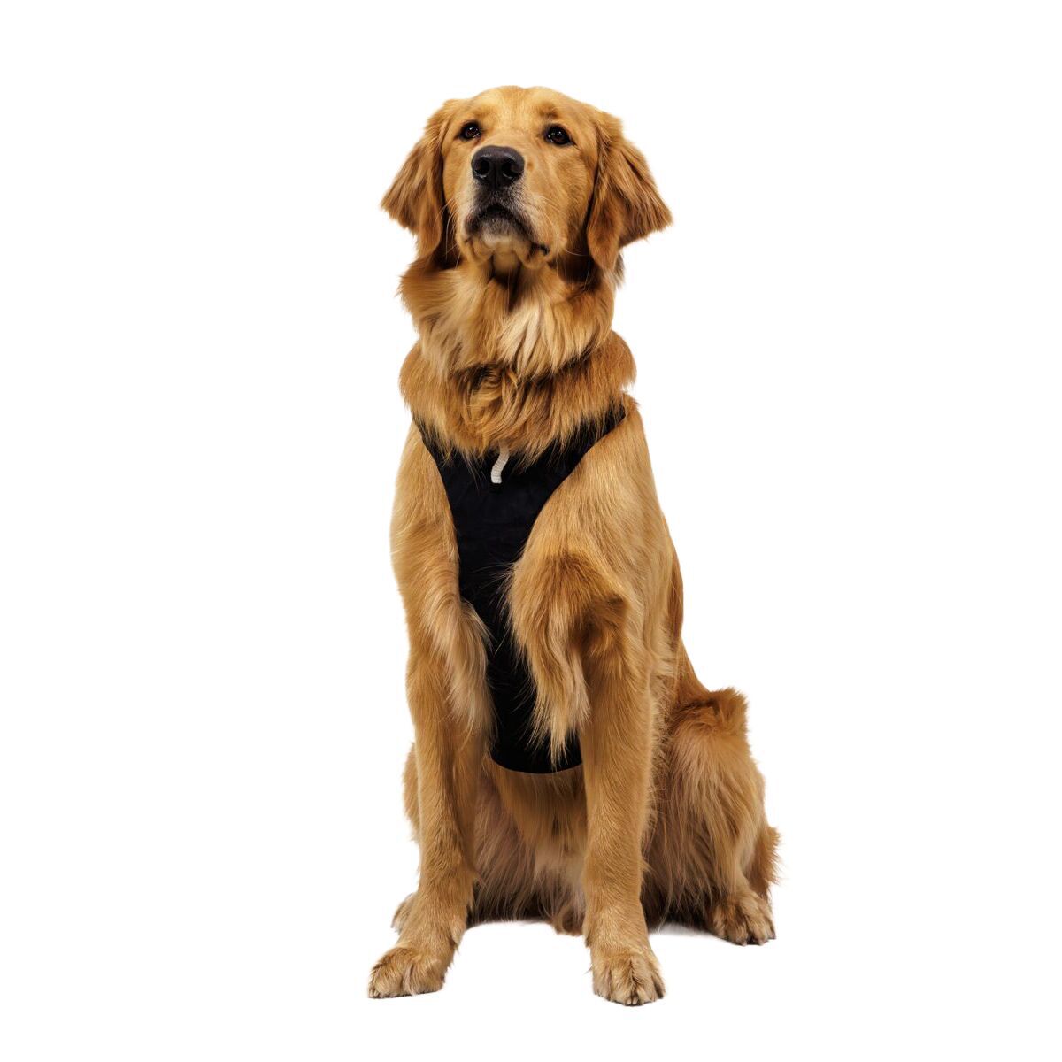 Ruffwear Ridgeline Harness Obsidian Black