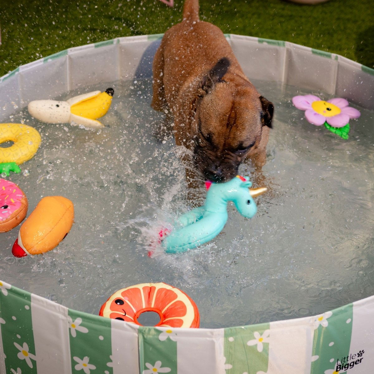 Little&Bigger HotSummer pool daisy green 120 cm
