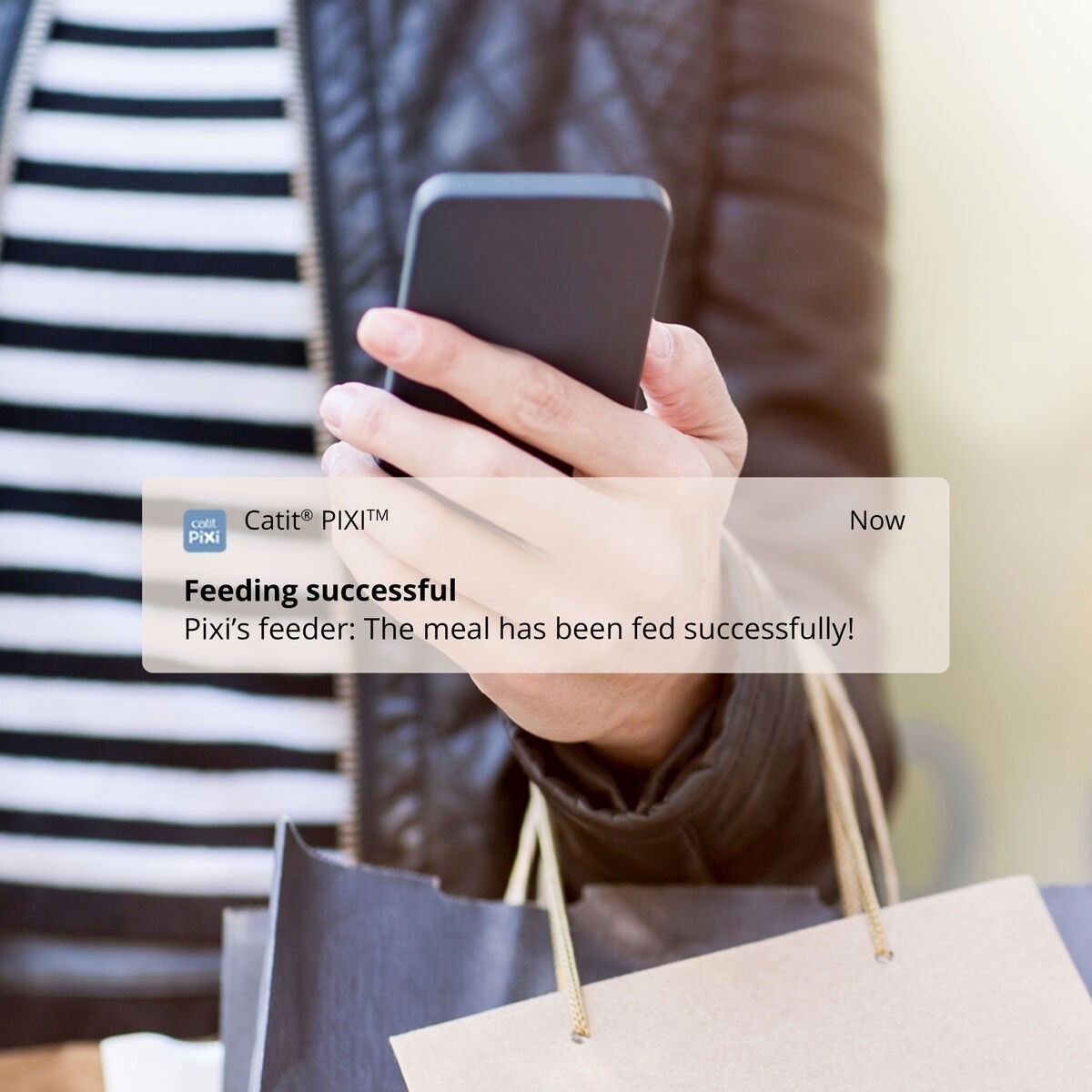 Catit PIXI Smart 6-meal feeder