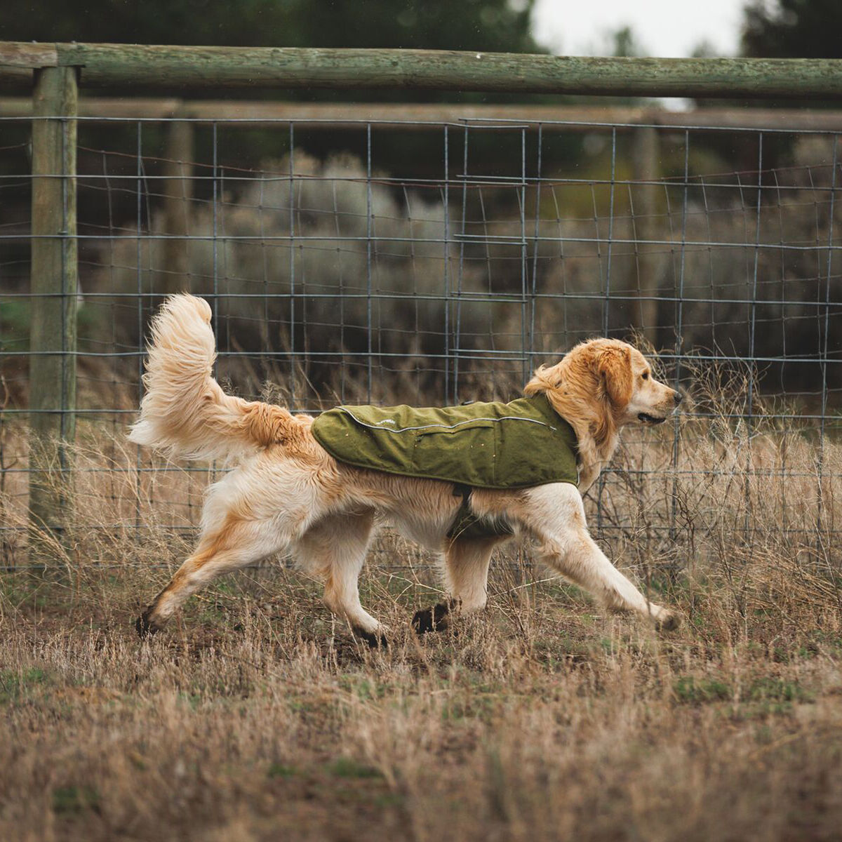Ruffwear Overcoat Fuse Fodrat Hundtäcke Grön