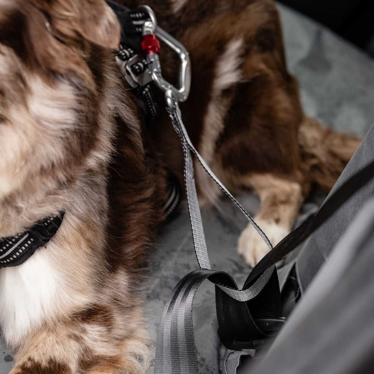 Feel Active Car Heavy Duty seatbelt tether L