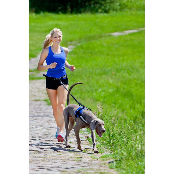 Pro Dog Joggingbälte med lina