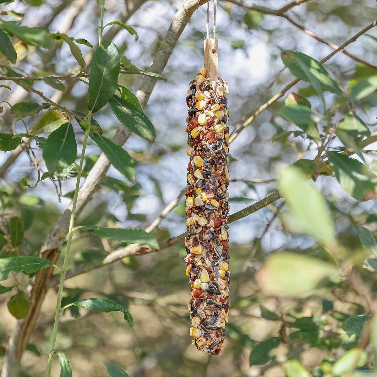 Food bar XL for squirrels, 30 cm, 190g