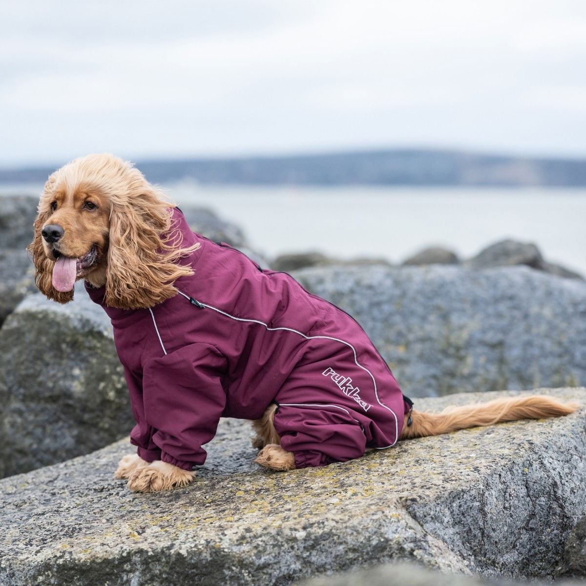 Rukka Thermal overall wine