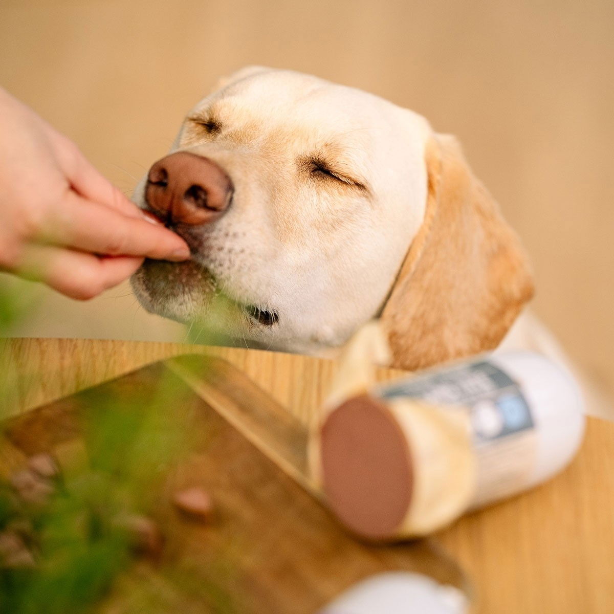 Trick&Treat Paté Sausage Turkey