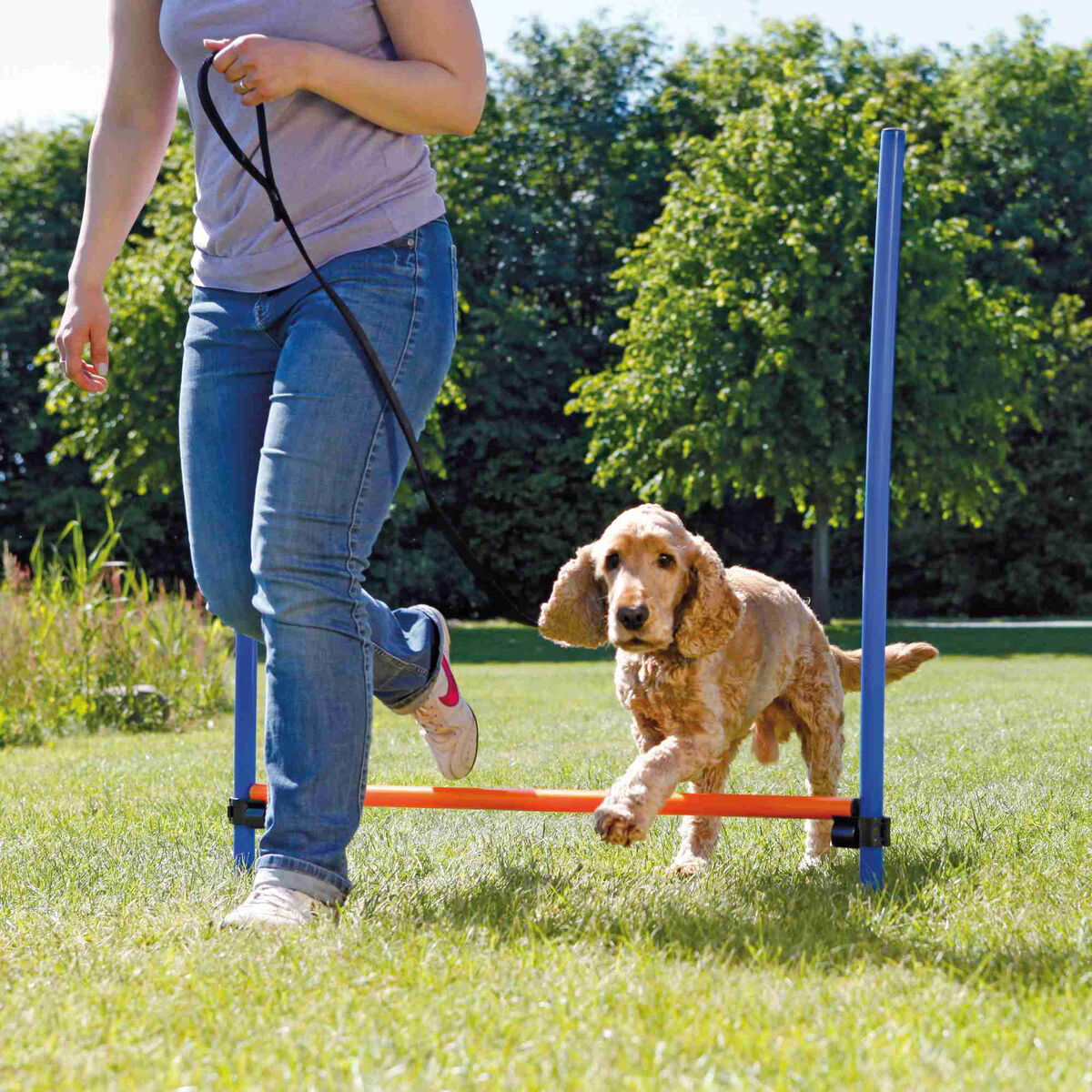 Dog Activity Agility hurdle, plastic, 123 × 115 cm, ø 3 cm, blue/orange