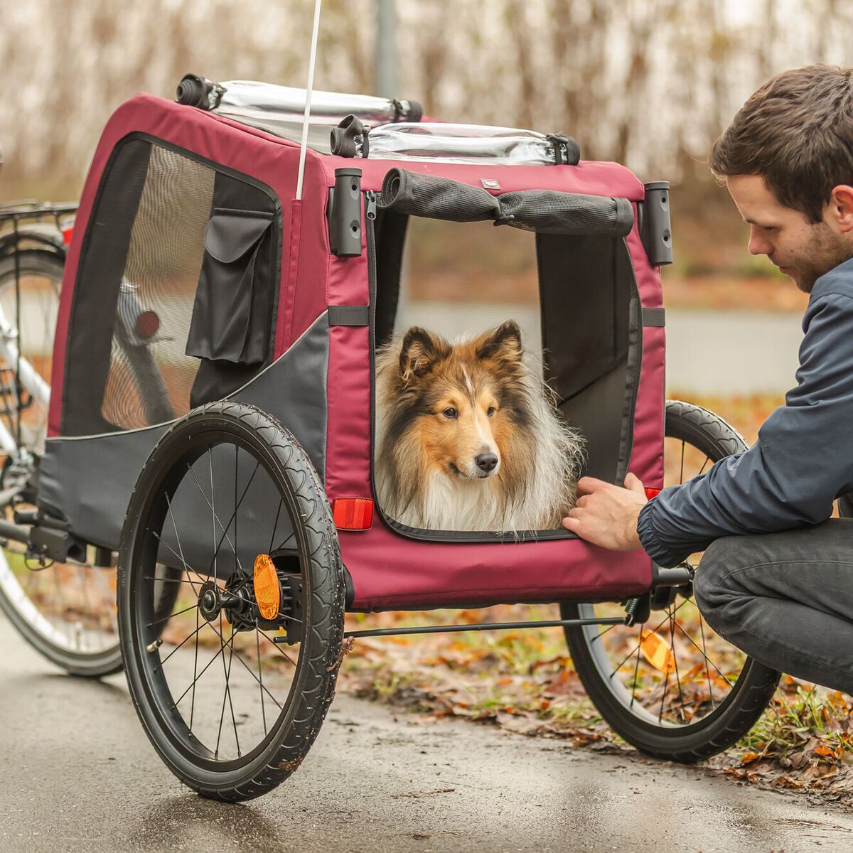 Trixie Bicycle trailer, grey/red