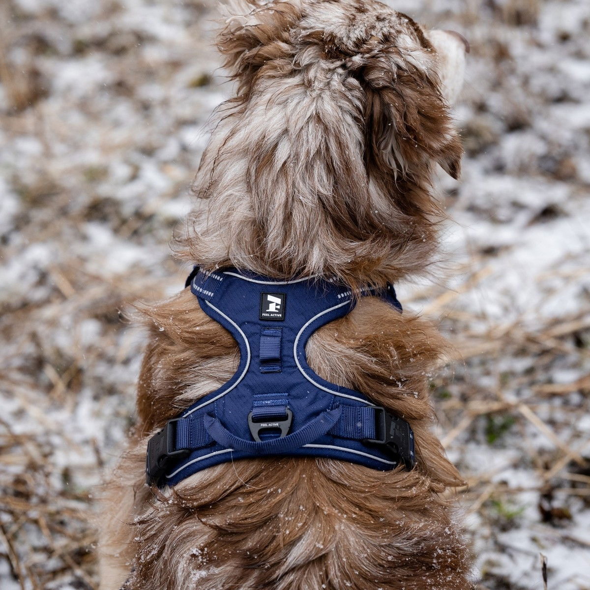 Feel Active Training harness Deep Blue